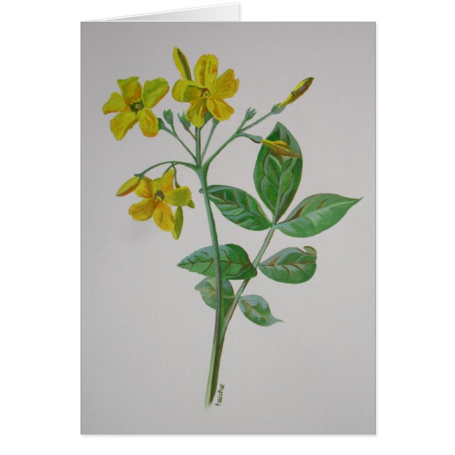 Carolina Jasmine Botanical Art (Front)