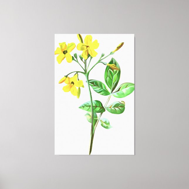 Carolina Jasmine Botanical Art Canvas Print (Front)