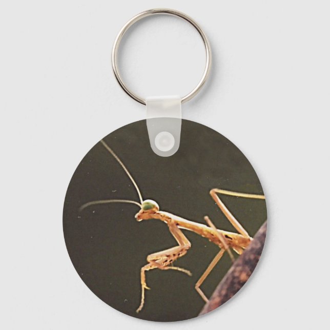 Carolina Mantis Key Ring (Front)
