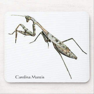 Carolina Mantis Mouse Mat
