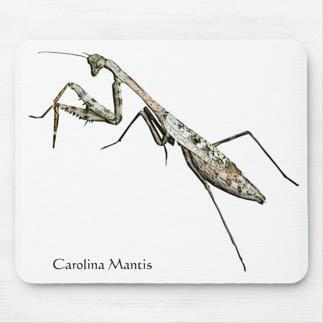 Carolina Mantis Mouse Mat (Front)