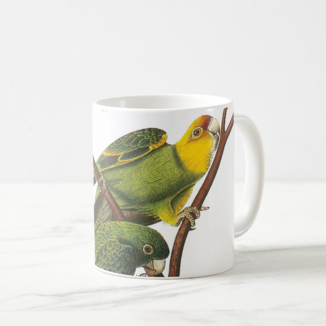 Carolina Parakeet by Audubon Coffee Mug (Front Right)