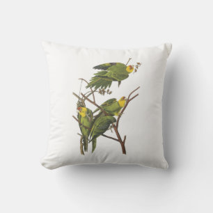 Carolina Parakeet by Audubon Cushion