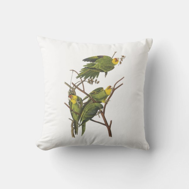 Carolina Parakeet by Audubon Cushion (Front)