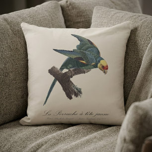 Carolina parakeet, Conuropsis carolinensis Cushion