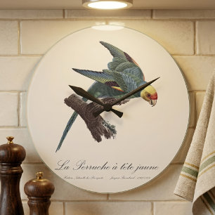 Carolina parakeet, Conuropsis carolinensis Large Clock