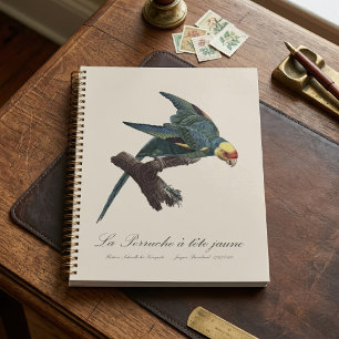 Carolina parakeet, Conuropsis carolinensis Planner
