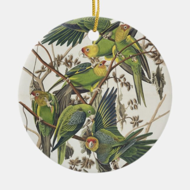 Carolina Parakeet, from 'Birds of America', 1829 Ceramic Tree Decoration (Front)
