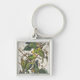Carolina Parakeet, from 'Birds of America', 1829 Key Ring