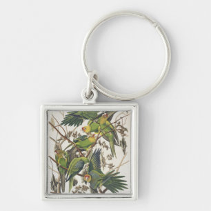 Carolina Parakeet, from 'Birds of America', 1829 Key Ring