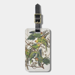 Carolina Parakeet, from 'Birds of America', 1829 Luggage Tag