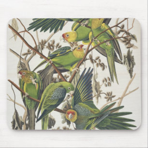 Carolina Parakeet, from 'Birds of America', 1829 Mouse Mat