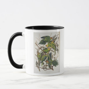 Carolina Parakeet, from 'Birds of America', 1829 Mug