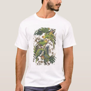 Carolina Parakeet, from 'Birds of America', 1829 T-Shirt