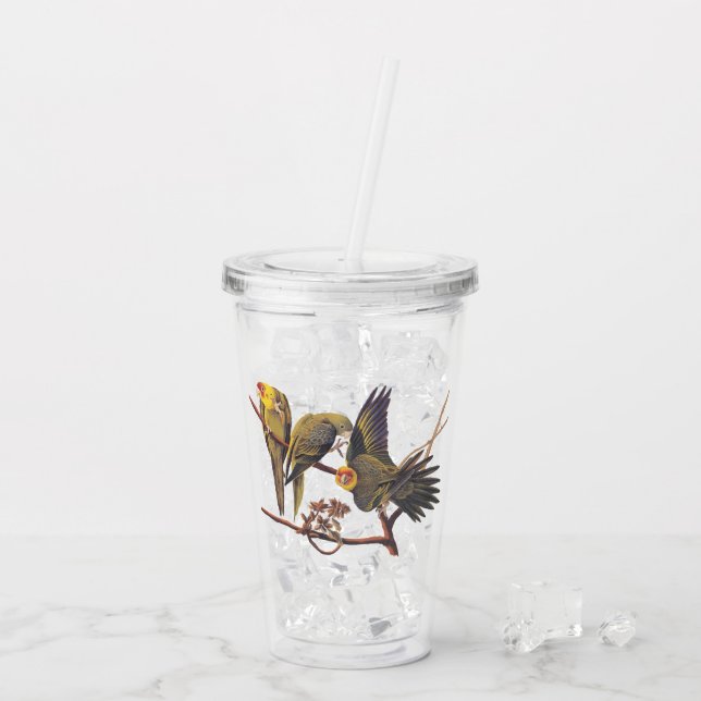 Carolina Parakeet Trio of Extinct Birds Acrylic Tumbler (Back Ice)