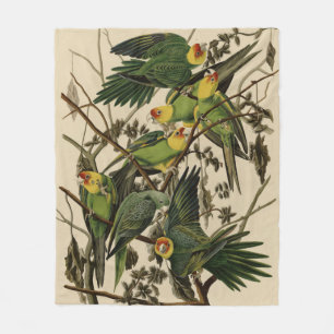 Carolina Parrot from Audubon's Birds of America Fleece Blanket