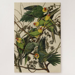 Carolina Parrot from Audubon's Birds of America Jigsaw Puzzle