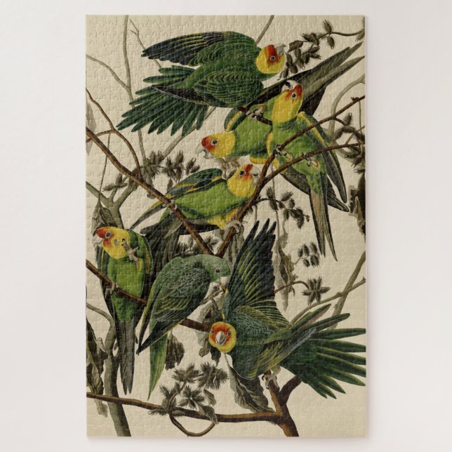 Carolina Parrot from Audubon's Birds of America Jigsaw Puzzle (Vertical)