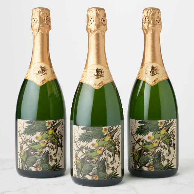 Carolina Parrot from Audubon's Birds of America Sparkling Wine Label (Bottles)