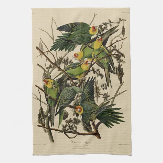 Carolina Parrot from Audubon's Birds of America Tea Towel (Vertical)
