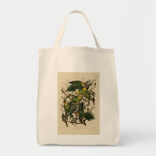 Carolina Parrot from Audubon's Birds of America Tote Bag
