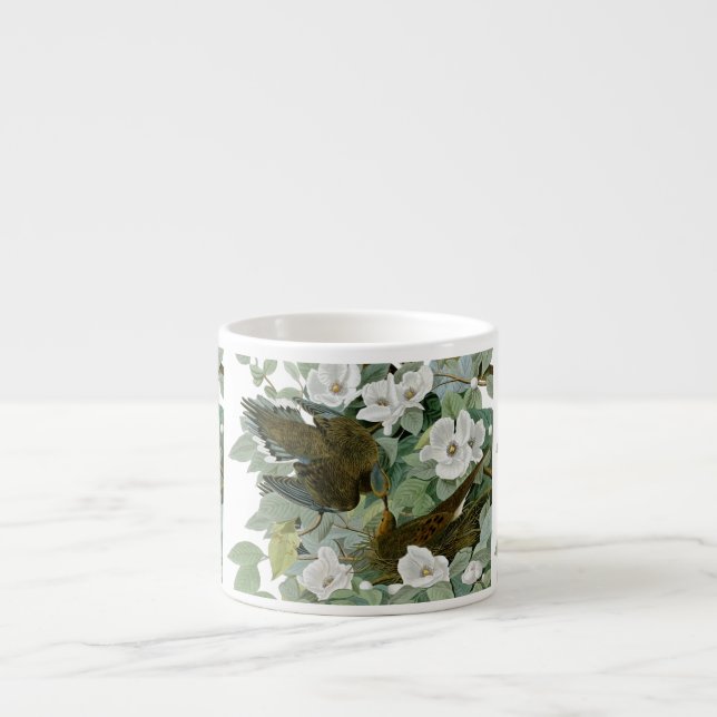 Carolina Pigeon Audubon Morning Dove Bird Espresso Cup (Front)