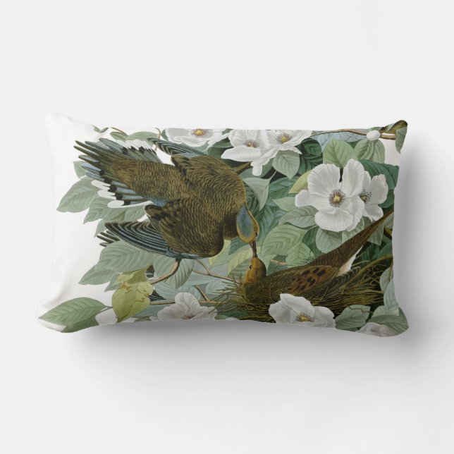 Carolina Pigeon Audubon Morning Dove Bird Lumbar Cushion (Front)