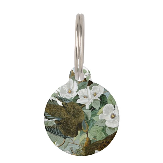 Carolina Pigeon Audubon Morning Dove Bird Pet Tag (Front)