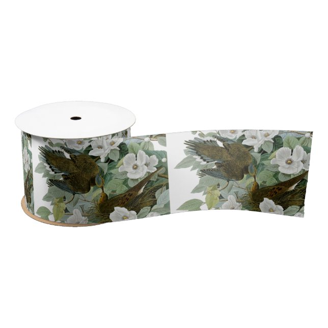 Carolina Pigeon Audubon Morning Dove Bird Satin Ribbon (Spool)