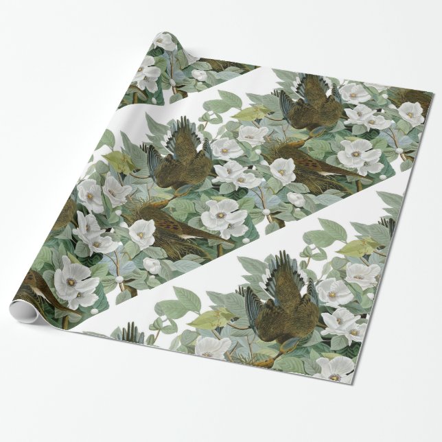 Carolina Pigeon Audubon Morning Dove Bird Wrapping Paper (Unrolled)