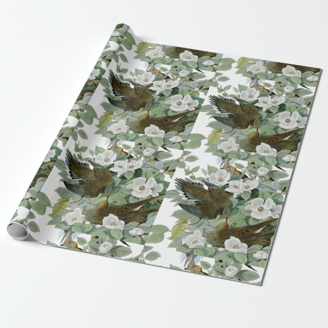 Carolina Pigeon Audubon Morning Dove Bird Wrapping Paper (Unrolled)