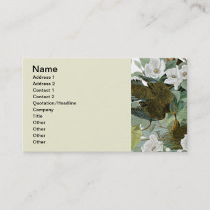 Carolina Pigeon Audubon Morning Dove Business Card