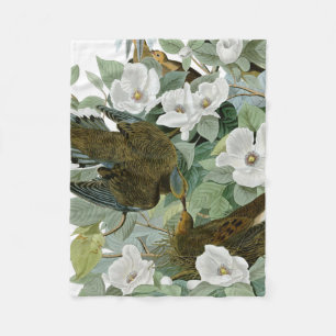 Carolina Pigeon Audubon Morning Dove Fleece Blanket
