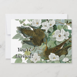 Carolina Pigeon Audubon Morning Dove Invitation
