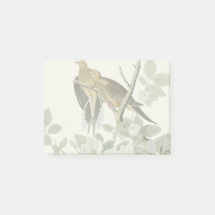 Carolina Pigeon Audubon Morning Dove Post-it Notes