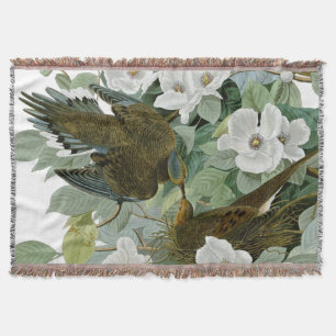 Carolina Pigeon Audubon Morning Dove Throw Blanket