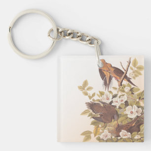 Carolina Pigeon or Mourning Dove Key Ring