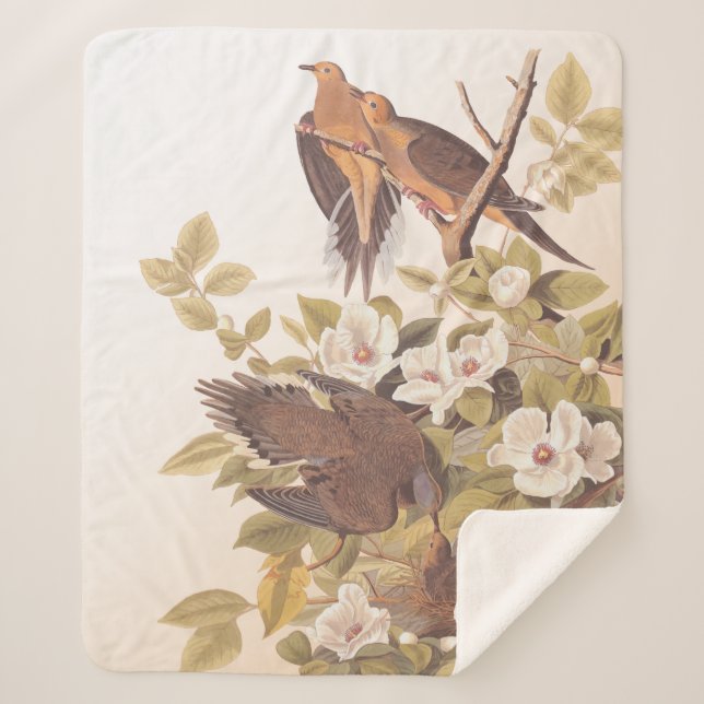 Carolina Pigeon or Mourning Dove Sherpa Blanket (Front)