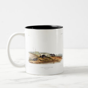 Carolina Shrew House Mouse Girl Boy Room Two-Tone Coffee Mug