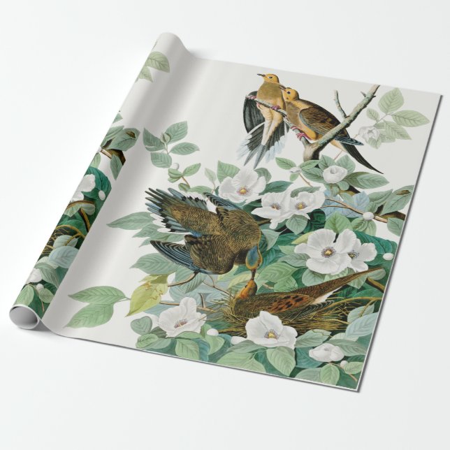 Carolina Turtle Dove, Birds of America by John Jam Wrapping Paper (Unrolled)