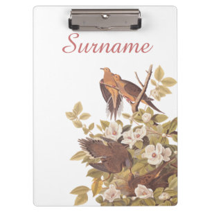 Carolina Turtle Dove Family Personalised Art Clipboard