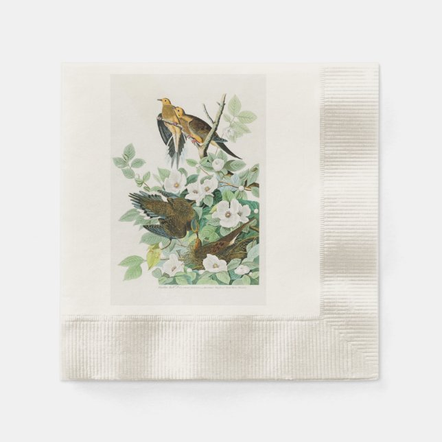 Carolina Turtle Dove John Audubon Birds of America Napkin (Front)