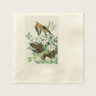 Carolina Turtle Dove John Audubon Birds of America Napkin