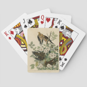 Carolina Turtle Dove Mourning Dove Audubon's Birds Playing Cards