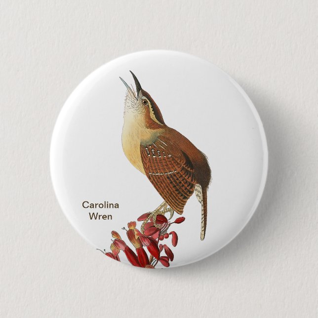 Carolina Wren, Audubon, Backyard Birdwatcher Bird  6 Cm Round Badge (Front)