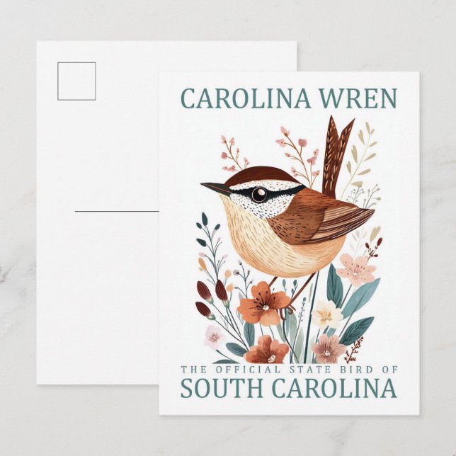 Carolina Wren Bird of South Carolina Travel Postcard (Front/Back)