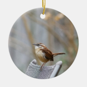 Carolina Wren Ceramic Tree Decoration