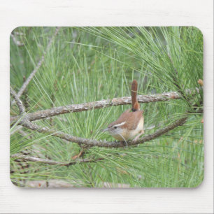 Carolina Wren in Pine Tree Mouse Mat