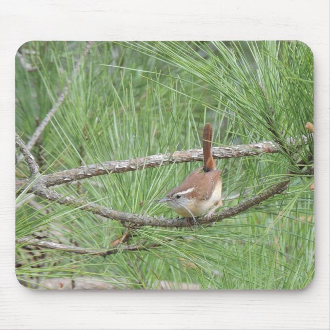 Carolina Wren in Pine Tree Mouse Mat (Front)