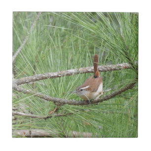 Carolina Wren in Pine Tree Tile